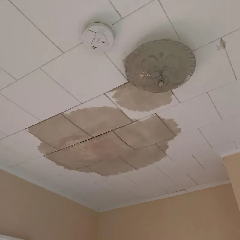 Ceiling Water Damage Repair in Susquehanna, PA