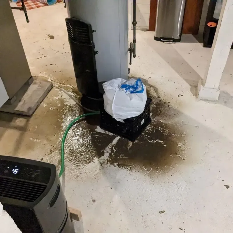 Sewage Backup Cleanup Service in Susquehanna, PA